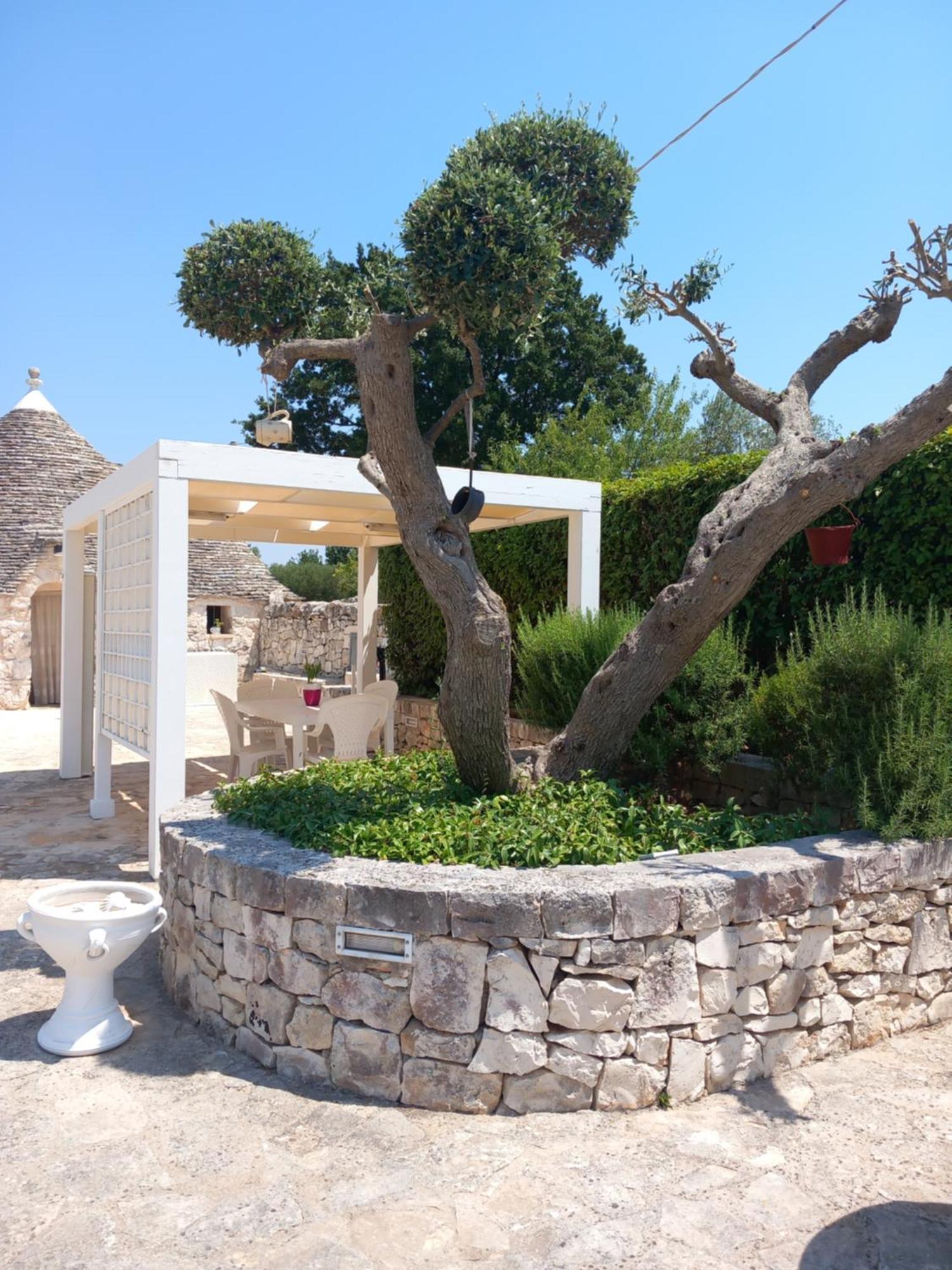 阿尔贝罗贝洛 Trullo Monte Del Sale旅馆 外观 照片