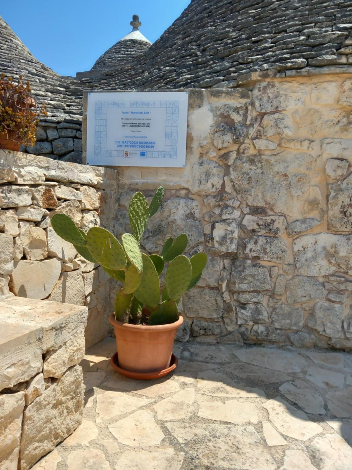 阿尔贝罗贝洛 Trullo Monte Del Sale旅馆 外观 照片