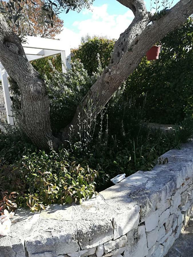 阿尔贝罗贝洛 Trullo Monte Del Sale旅馆 外观 照片