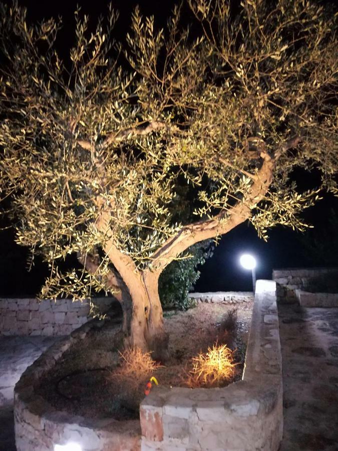 阿尔贝罗贝洛 Trullo Monte Del Sale旅馆 外观 照片